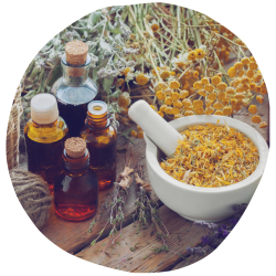 imagens site e cursos (37)