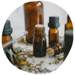 imagens site e cursos (53)